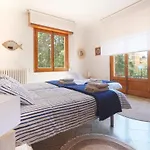 Casa Sa Posidonia -posidonia Surf & Stay- *